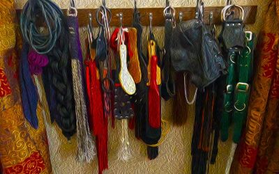 Whats in your Toy Bag