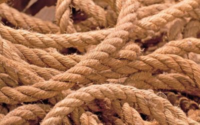 Rope Play for Beginners